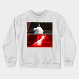 Inhaling Seagull Meme Crewneck Sweatshirt